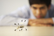 serviceinnovation.com